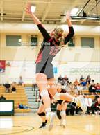 Photo from the gallery "Elizabeth @ Falcon"