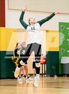 Photo from the gallery "Elizabeth @ Falcon"