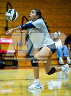 Photo from the gallery "Madison @ Imperial"