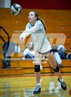 Photo from the gallery "Madison @ Imperial"