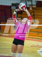 Photo from the gallery "Madison @ Imperial"