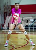 Photo from the gallery "Madison @ Imperial"