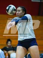 Photo from the gallery "Madison @ Imperial"