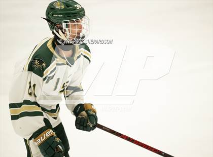 Thumbnail 3 in JV: Mountain Vista @ Dakota Ridge photogallery.