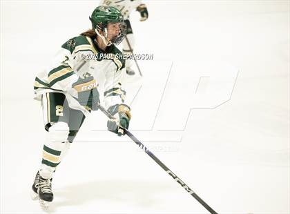 Thumbnail 3 in JV: Mountain Vista @ Dakota Ridge photogallery.