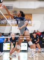 Photo from the gallery "Scripps Ranch @ Mission Bay"