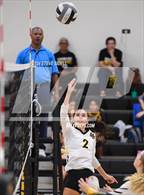 Photo from the gallery "Scripps Ranch @ Mission Bay"