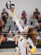 Photo from the gallery "Scripps Ranch @ Mission Bay"