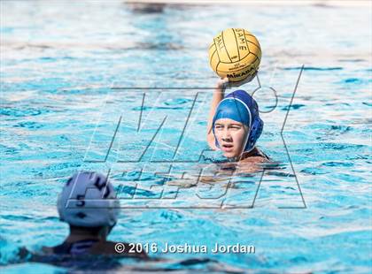 Thumbnail 1 in Alamo Heights vs Warren (Alamo Area Aquatics Association Round Robin) photogallery.