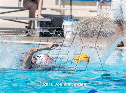 Thumbnail 1 in Alamo Heights vs Warren (Alamo Area Aquatics Association Round Robin) photogallery.