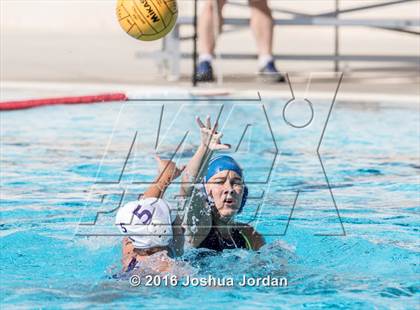 Thumbnail 1 in Alamo Heights vs Warren (Alamo Area Aquatics Association Round Robin) photogallery.