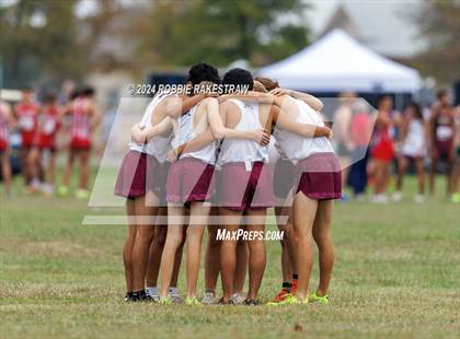Thumbnail 1 in UIL Cross Country 4A Finals (5K) photogallery.