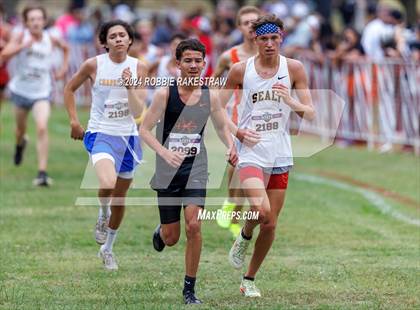 Thumbnail 1 in UIL Cross Country 4A Finals (5K) photogallery.