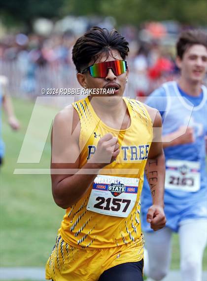 Thumbnail 1 in UIL Cross Country 4A Finals (5K) photogallery.