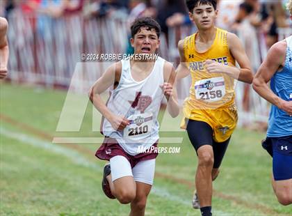 Thumbnail 2 in UIL Cross Country 4A Finals (5K) photogallery.