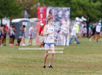 Thumbnail 1 in UIL Cross Country 4A Finals (5K) photogallery.