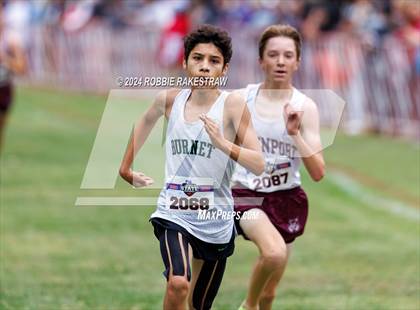 Thumbnail 1 in UIL Cross Country 4A Finals (5K) photogallery.