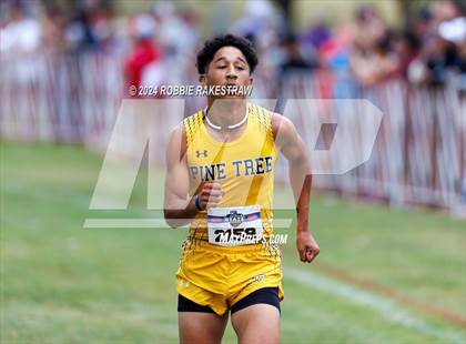 Thumbnail 3 in UIL Cross Country 4A Finals (5K) photogallery.