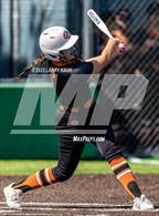 Photo from the gallery "Saint Francis vs Central (CIF NorCal Division 1 Regional Semifinal)"
