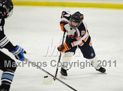 Thumbnail 1 in Wilton @ Lyman Hall photogallery.