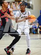 Photo from the gallery "Alexander @ Wheeler"