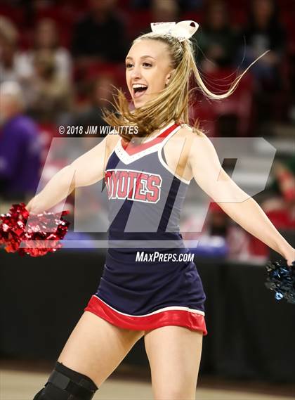 Thumbnail 1 in Sunnyslope vs. Centennial (AIA 5A Semifinal) photogallery.