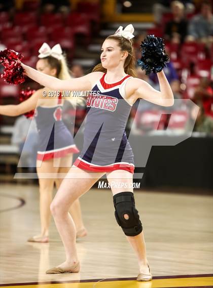 Thumbnail 1 in Sunnyslope vs. Centennial (AIA 5A Semifinal) photogallery.