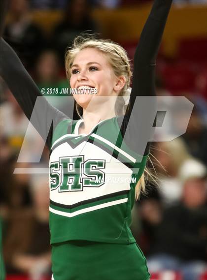 Thumbnail 2 in Sunnyslope vs. Centennial (AIA 5A Semifinal) photogallery.