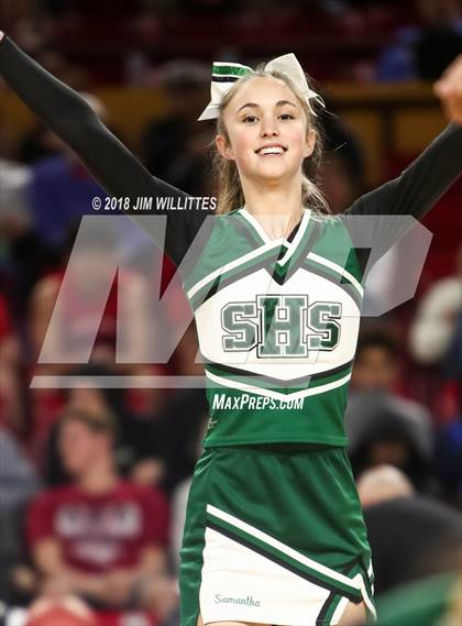 Thumbnail 3 in Sunnyslope vs. Centennial (AIA 5A Semifinal) photogallery.