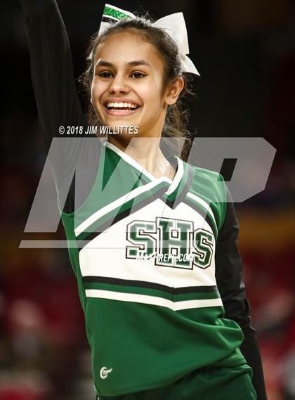 Thumbnail 2 in Sunnyslope vs. Centennial (AIA 5A Semifinal) photogallery.