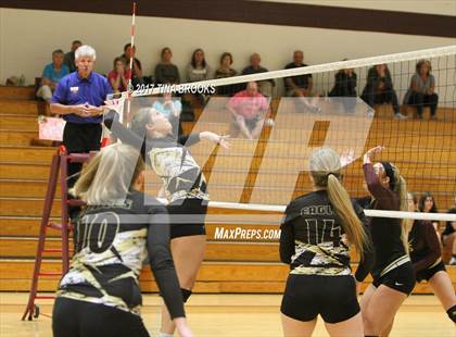 Thumbnail 3 in East Davidson @ Dixon photogallery.