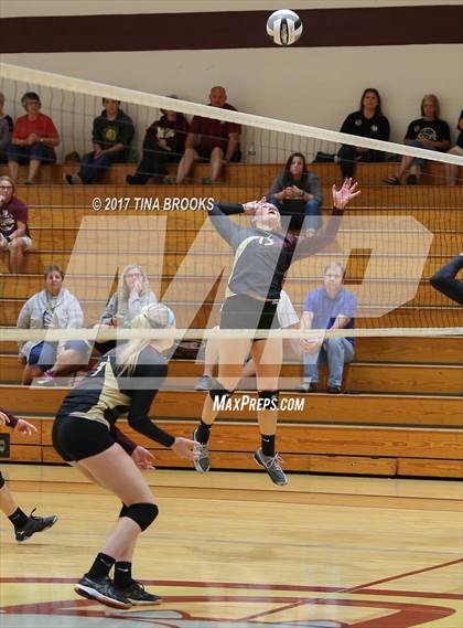 Thumbnail 1 in East Davidson @ Dixon photogallery.
