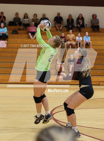 Thumbnail 1 in East Davidson @ Dixon photogallery.