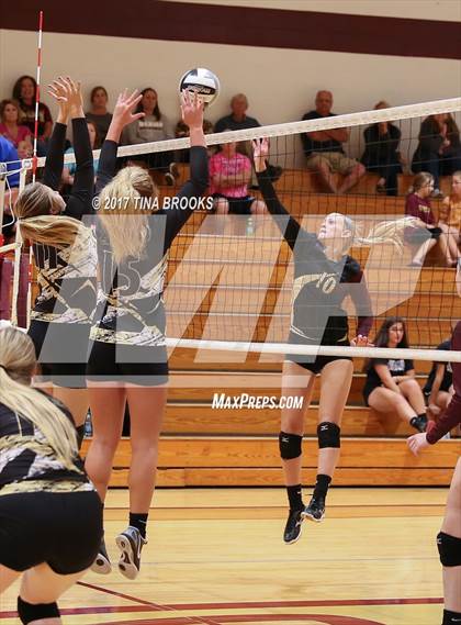 Thumbnail 3 in East Davidson @ Dixon photogallery.