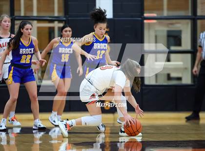 Thumbnail 1 in Brock @ Aledo photogallery.