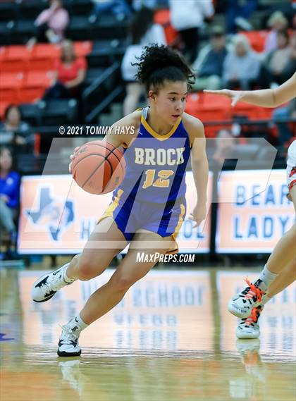 Thumbnail 1 in Brock @ Aledo photogallery.