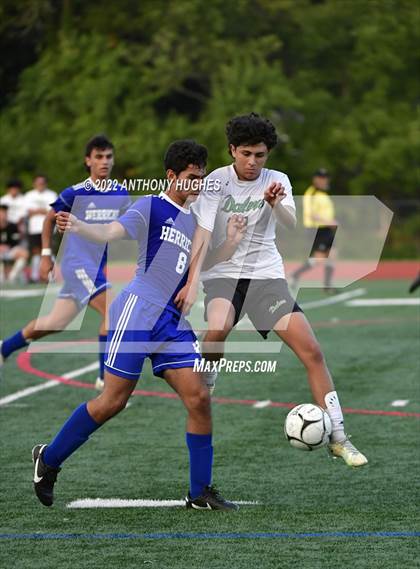 Thumbnail 1 in Farmingdale @ Herricks photogallery.