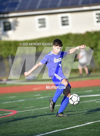 Thumbnail 3 in Farmingdale @ Herricks photogallery.
