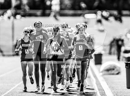 Thumbnail 1 in West Coast Relays  photogallery.
