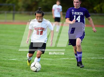 Thumbnail 3 in Cromwell @ North Branford photogallery.