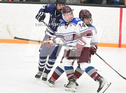Thumbnail 1 in Wilton @ BBD [Brookfield/Bethel/Danbury] photogallery.