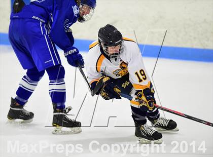 Thumbnail 2 in West Haven @ East Haven (CIAC DI 1st Round) photogallery.