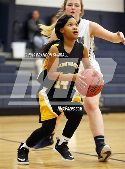 Thumbnail 3 in Billingsley @ Jemison photogallery.