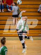 Photo from the gallery "Melbourne @ Valley Springs"