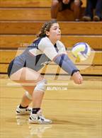 Photo from the gallery "Beyer vs Berean Christian (CIF SJS Division 4 Round 1)"