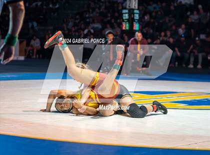 Thumbnail 1 in CIF State Championships (Finals) photogallery.
