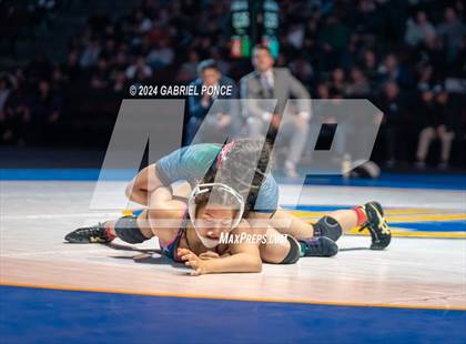 Thumbnail 1 in CIF State Championships (Finals) photogallery.