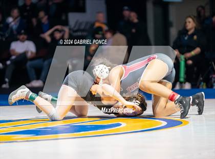 Thumbnail 2 in CIF State Championships (Finals) photogallery.