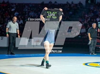 Thumbnail 1 in CIF State Championships (Finals) photogallery.