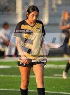Photo from the gallery "Baker @ Davidson"